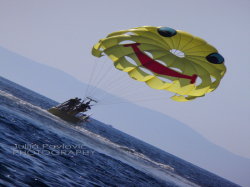 Apartmany i sobe Danica Podaca