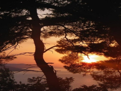 Apartmany i sobe Danica Podaca