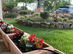 Apartmenthaus Myrta Krk (Insel Krk)